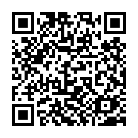QR code for 994DSM
