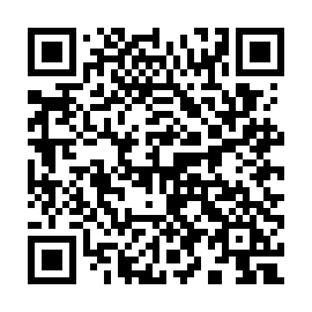QR code for 995GDI