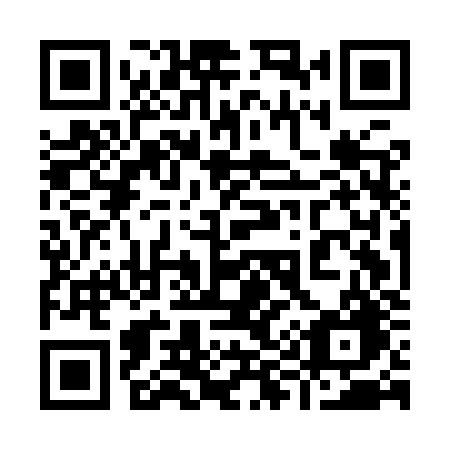 QR code for plate 995 IZG