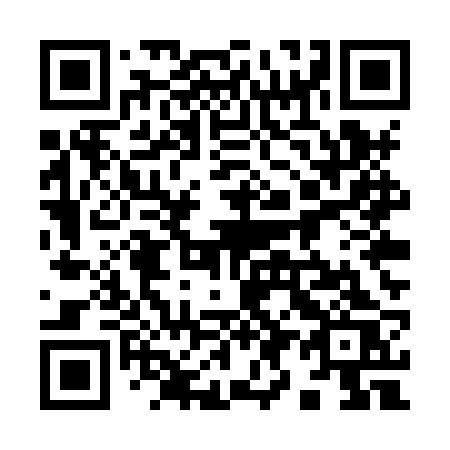 QR code for plate 995 XRS