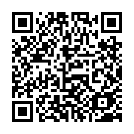QR code for 996 SAE