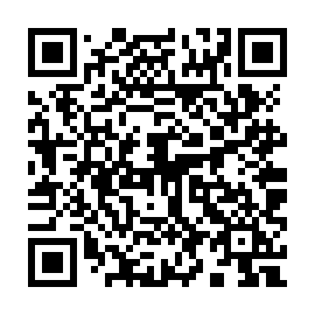 QR code for 996 ZHI