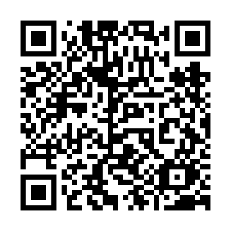 QR code for plate 996 FGO