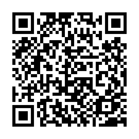 QR code for plate 999 DPP