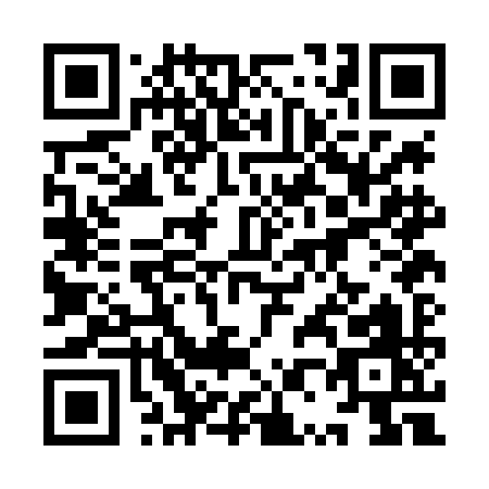 QR code for 9P0LI