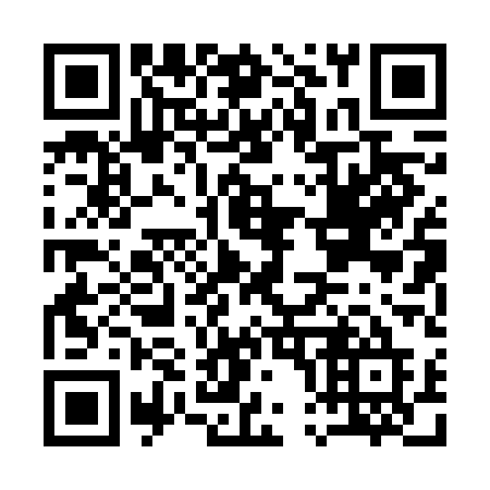QR code for plate A00 6AE