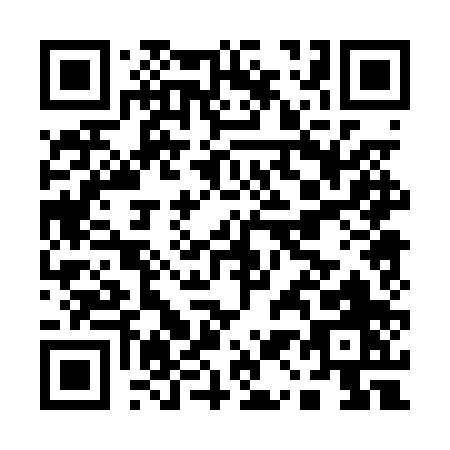 QR code for A100P