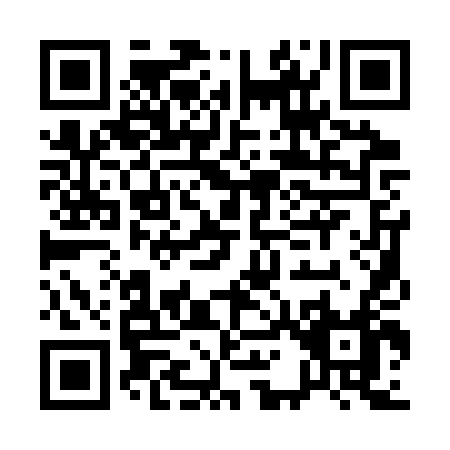 QR code for A113T