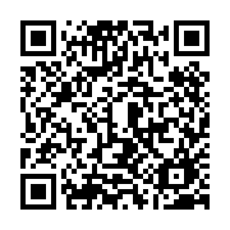 QR code for plate A17 0AG