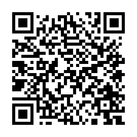 QR code for A216P