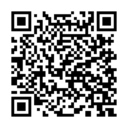 QR code for A228LV