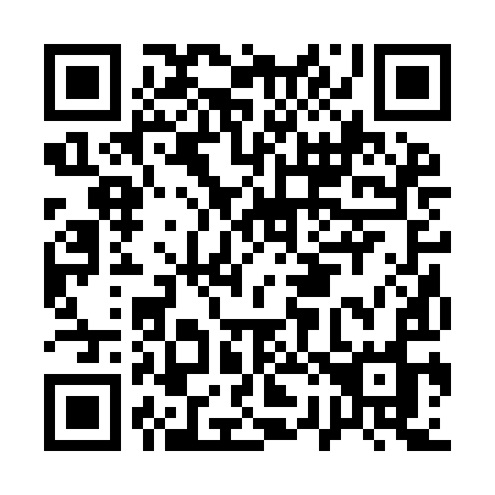 QR code for A229IO