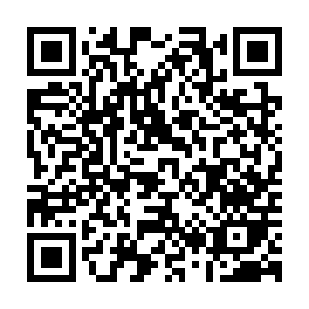 QR code for A233P