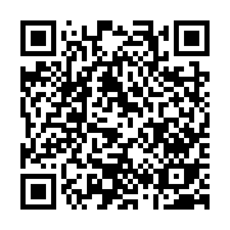 QR code for A233S