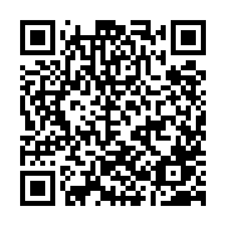 QR code for A295HV