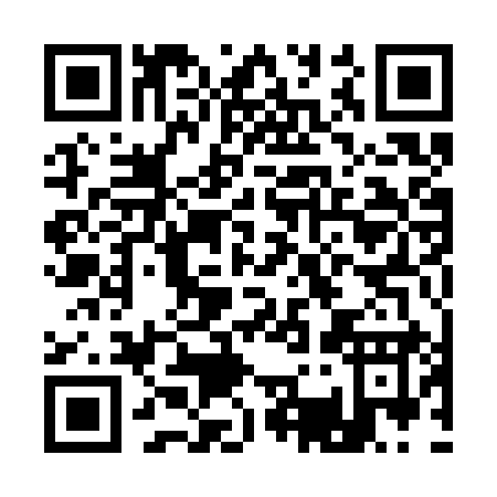 QR code for A313Y
