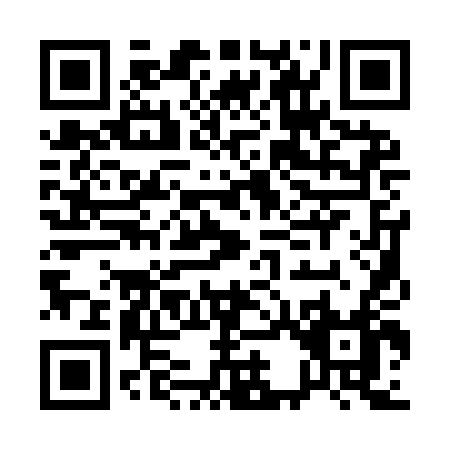 QR code for A319D