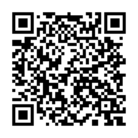 QR code for plate A38 0ZS