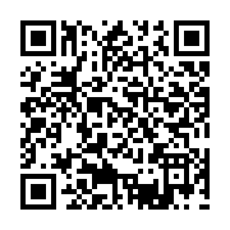 QR code for A383P