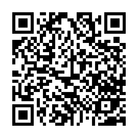 QR code for A385N