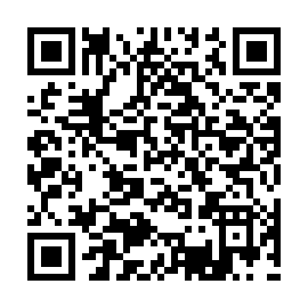 QR code for A397H