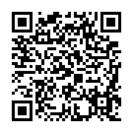 QR code for A397L