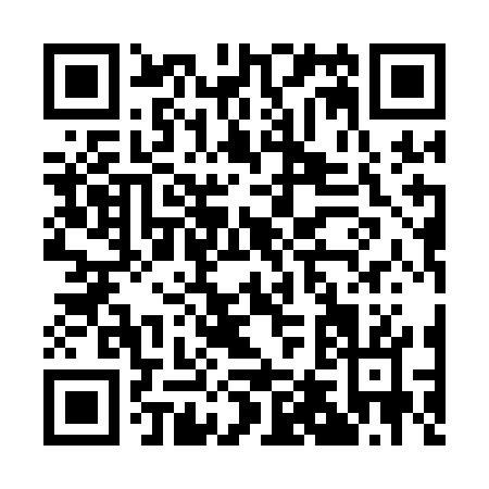 QR code for A411G