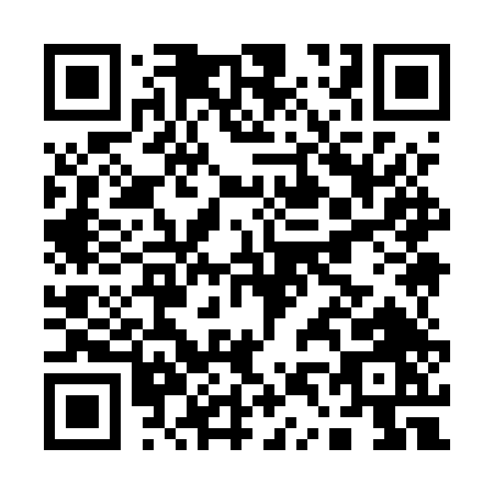 QR code for A495T