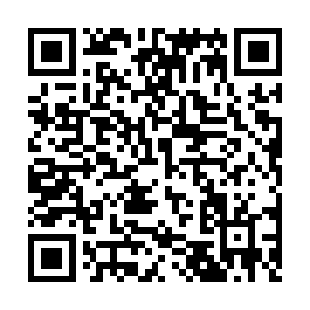QR code for A501T
