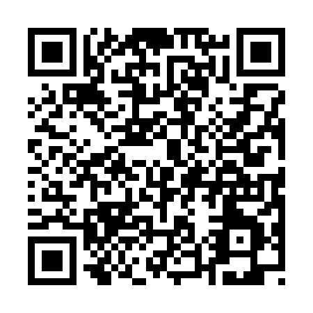 QR code for A513X