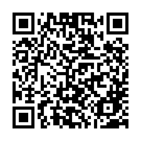 QR code for plate A53 1LD
