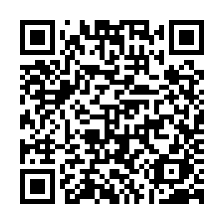 QR code for plate A53 1ZH