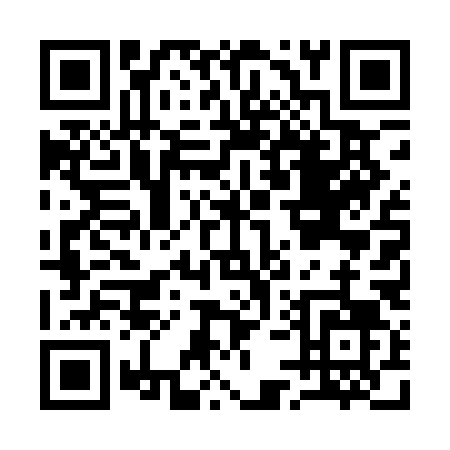 QR code for A541L
