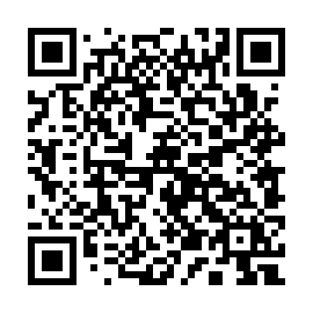 QR code for A541ZX