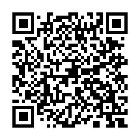 QR code for plate A63 4GO