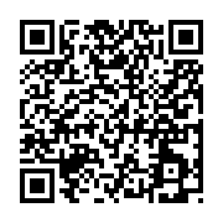 QR code for A868S