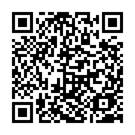 QR code for plate A91 9EE