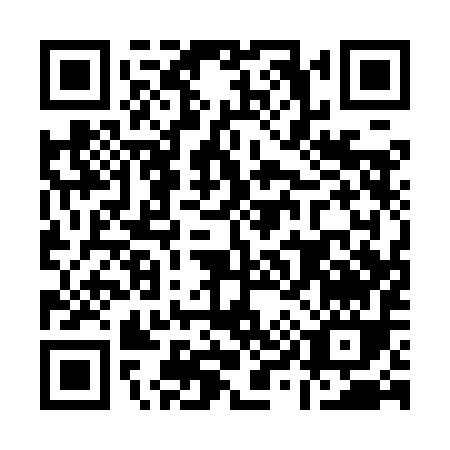 QR code for A919I