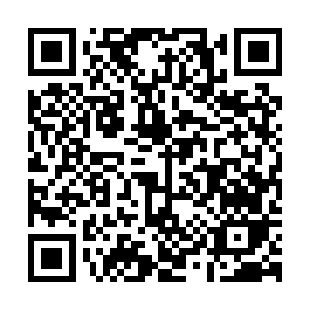 QR code for A950V