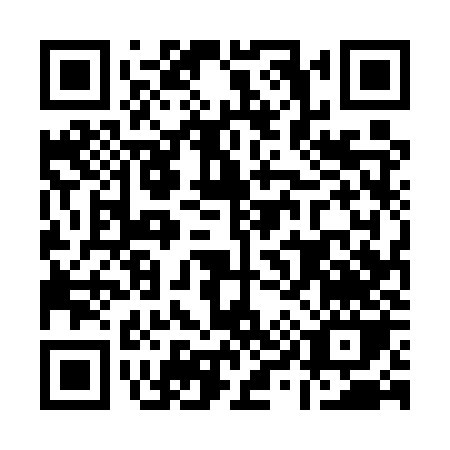 QR code for A955Z