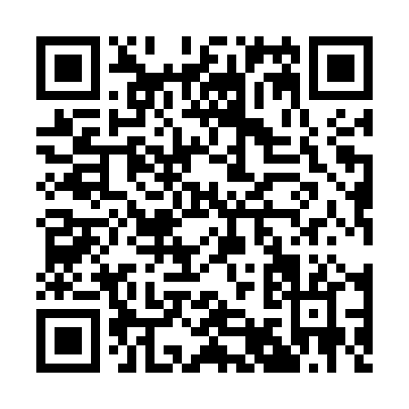QR code for A995P