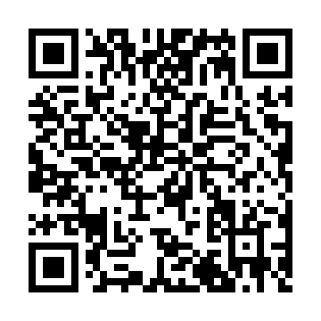 QR code for B101Z