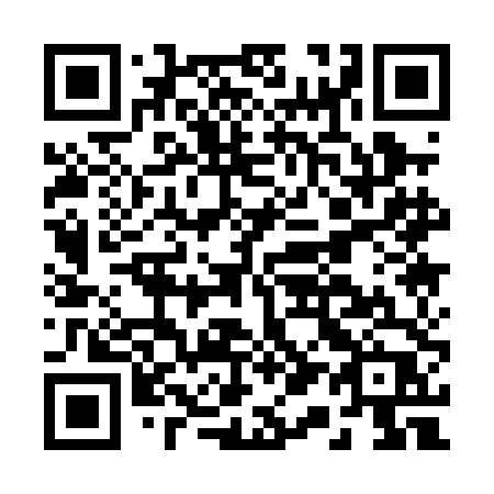 QR code for plate B11 0DP