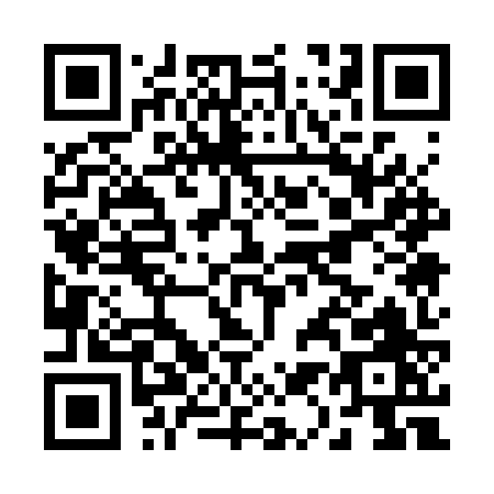 QR code for B113Z