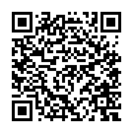 QR code for B203O