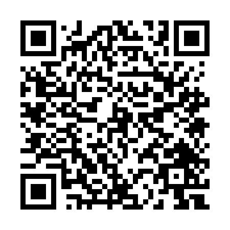 QR code for B217D