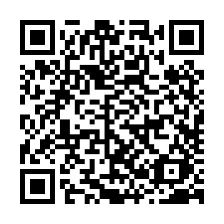 QR code for plate B22 0ZK