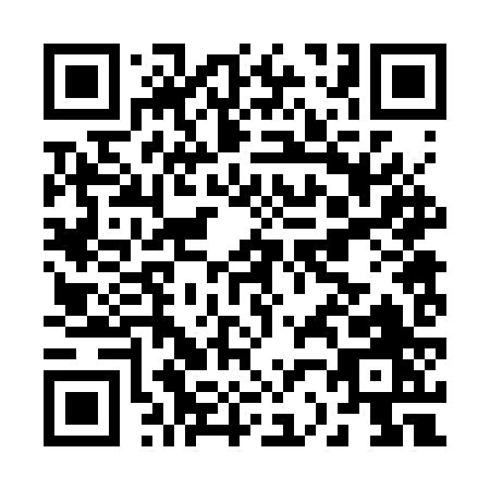 QR code for B223Z
