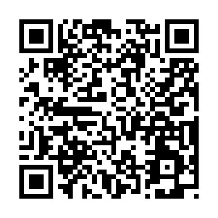 QR code for B238T
