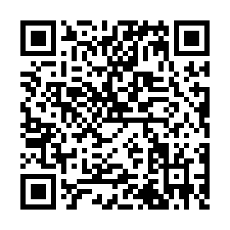 QR code for B251N